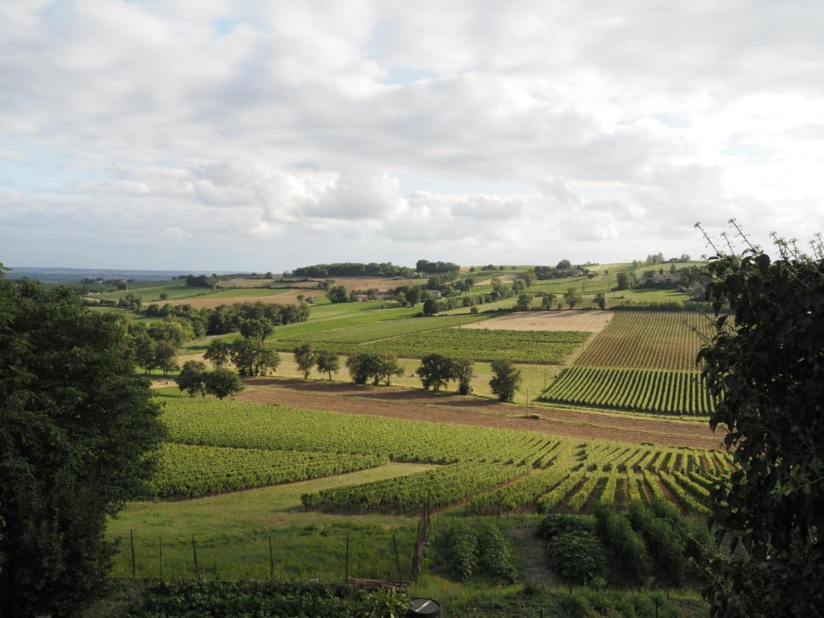 Le Mas de Doat, Gîte de Charme 4 étoiles dans le Triangle d Or proche Gaillac et Albi Senouillac Esterno foto